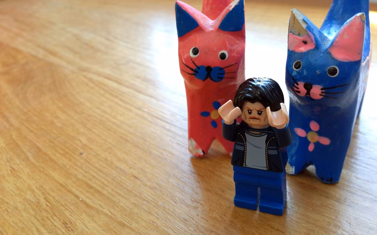 Drupal 7: Organizing with Field Group