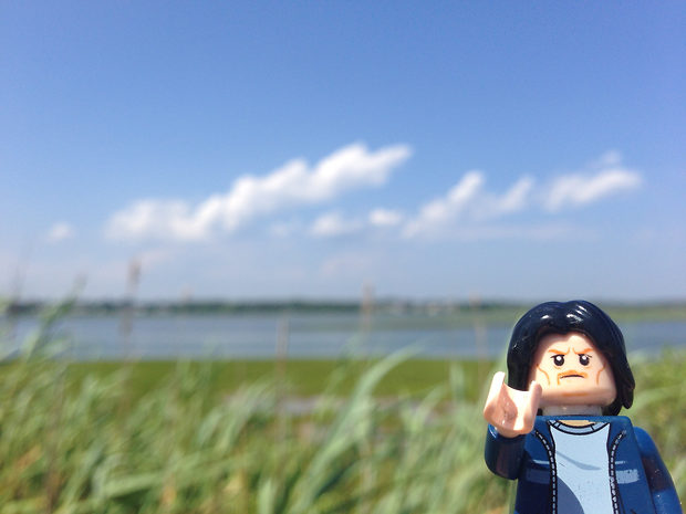 Lego Uncle Jim at the Marsh