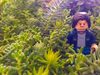 Lego Uncle Jim in the bushes
